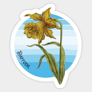 Vintage Botanical Flower Illustration Spring Daffodil Sticker